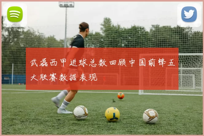 武磊西甲进球总数回顾中国前锋五大联赛数据表现