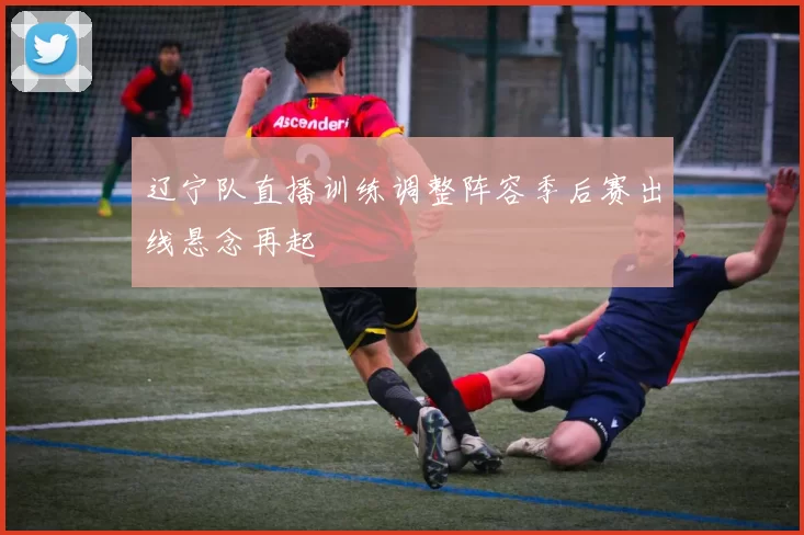辽宁队直播训练调整阵容季后赛出线悬念再起