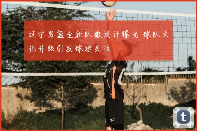 辽宁男篮全新队徽设计曝光 球队文化升级引发球迷关注