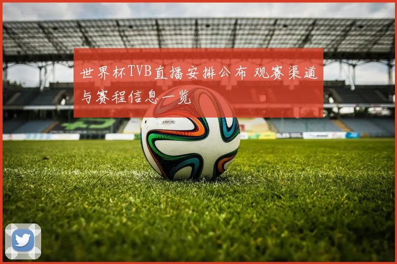 世界杯TVB直播安排公布 观赛渠道与赛程信息一览