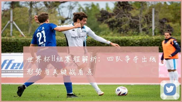 世界杯H组赛程解析:四队争夺出线形势与关键战看点