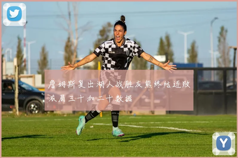 詹姆斯复出湖人战胜灰熊终结连败浓眉三十加二十数据